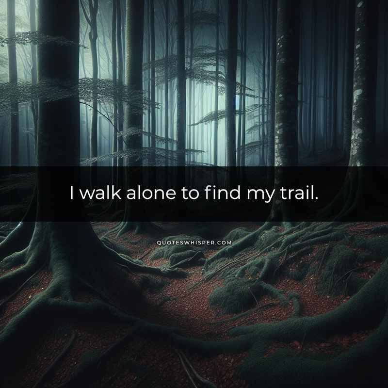 I walk alone to find my trail.