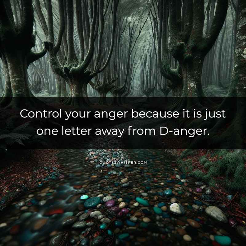 Control your anger because it is just one letter away from D-anger.