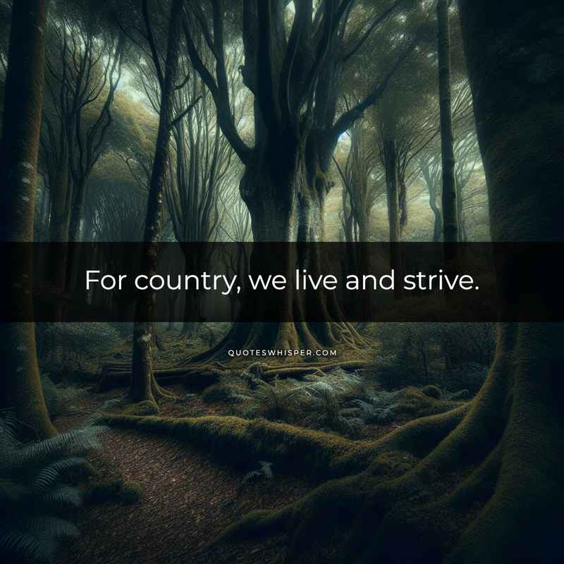 For country, we live and strive.