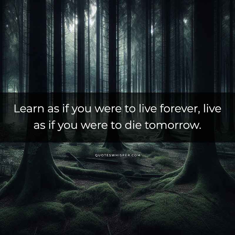 Learn as if you were to live forever, live as if you were to die tomorrow.
