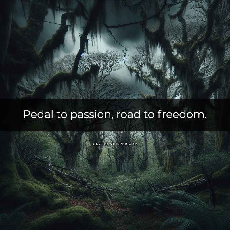 Pedal to passion, road to freedom.
