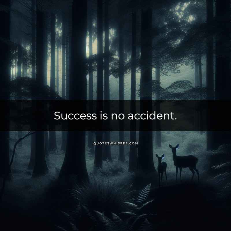 Success is no accident.