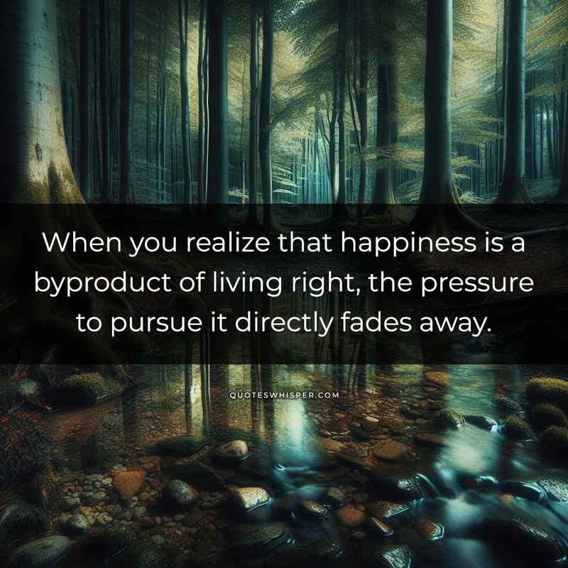 When you realize that happiness is a byproduct of living right, the pressure to pursue it directly fades away.