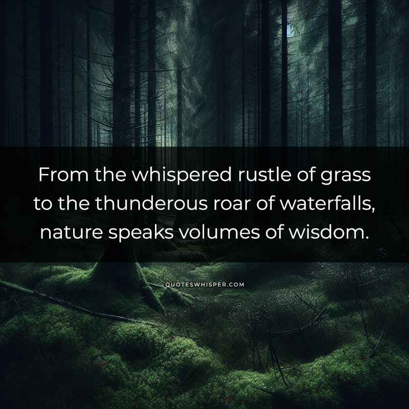 From the whispered rustle of grass to the thunderous roar of waterfalls, nature speaks volumes of wisdom.