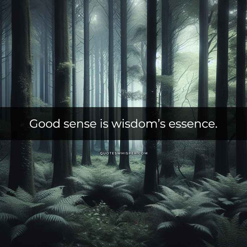 Good sense is wisdom’s essence.