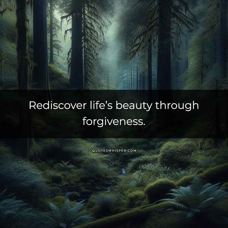 Rediscover life’s beauty through forgiveness.
