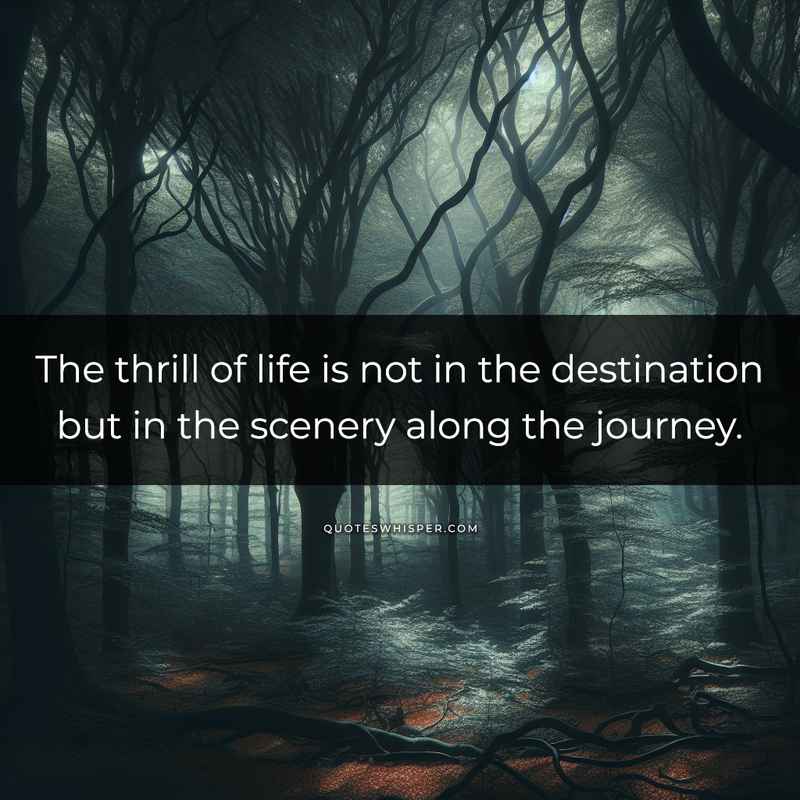 The thrill of life is not in the destination but in the scenery along the journey.