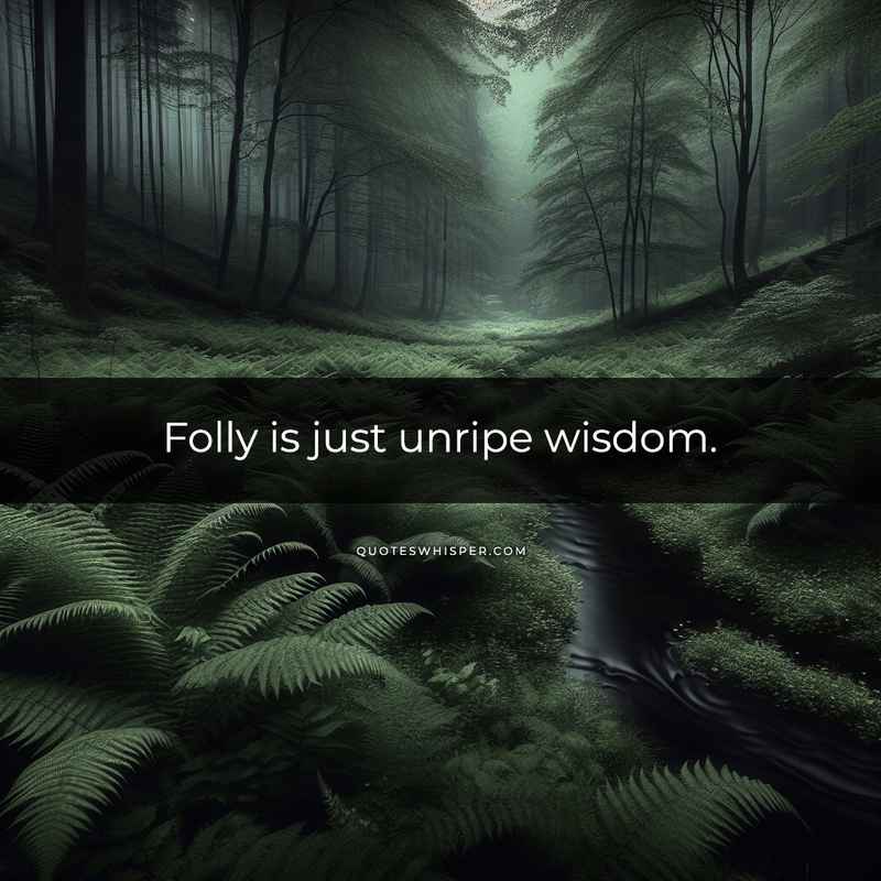 Folly is just unripe wisdom.