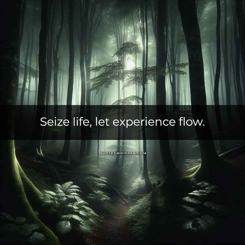 Seize life, let experience flow.