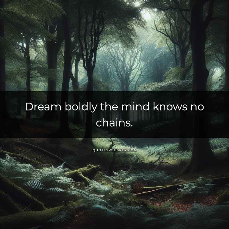 Dream boldly the mind knows no chains.