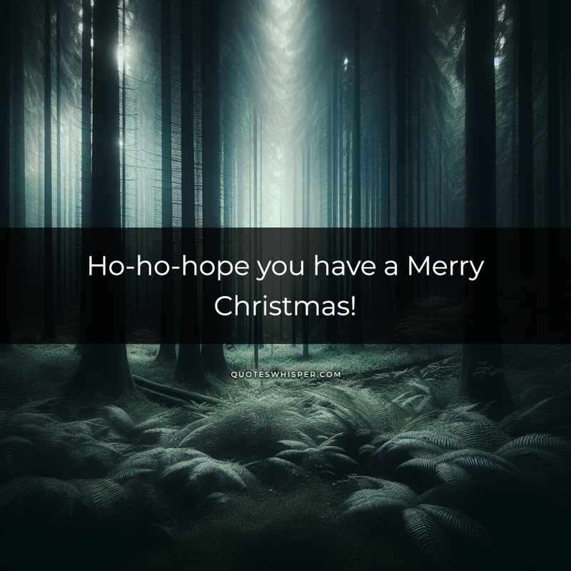 Ho-ho-hope you have a Merry Christmas!
